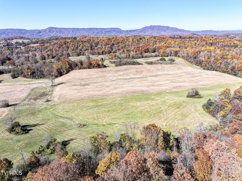 Photo of 5360 Old Snapps Ferry Road, Limestone, TN 37681 (MLS # 9988197)