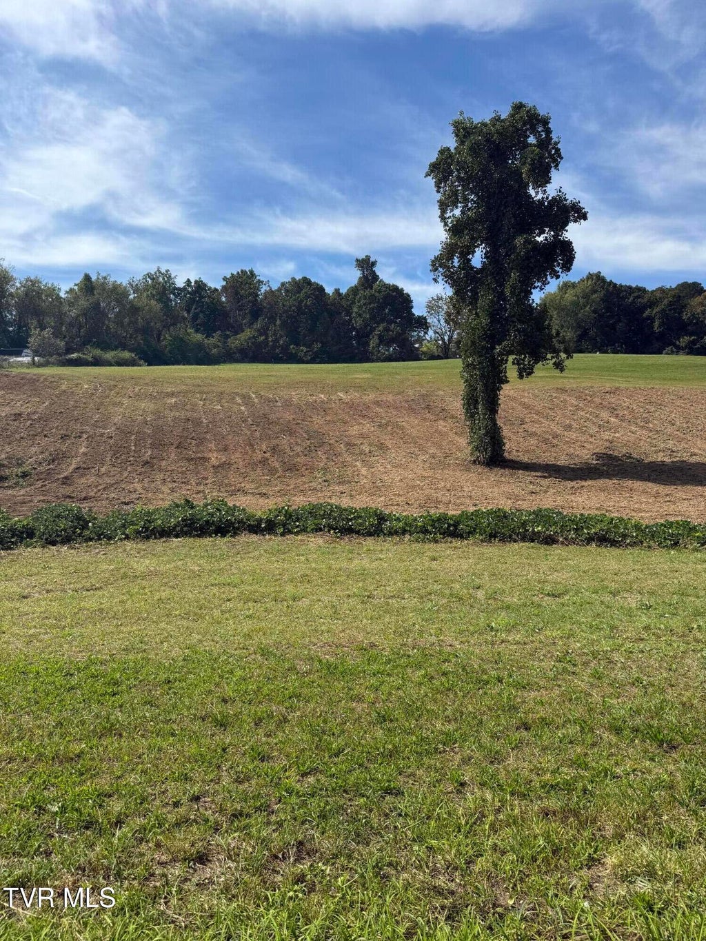 Photo of Tbd Mt Carmel Road, Mosheim, TN 37818 (MLS # 10002192)