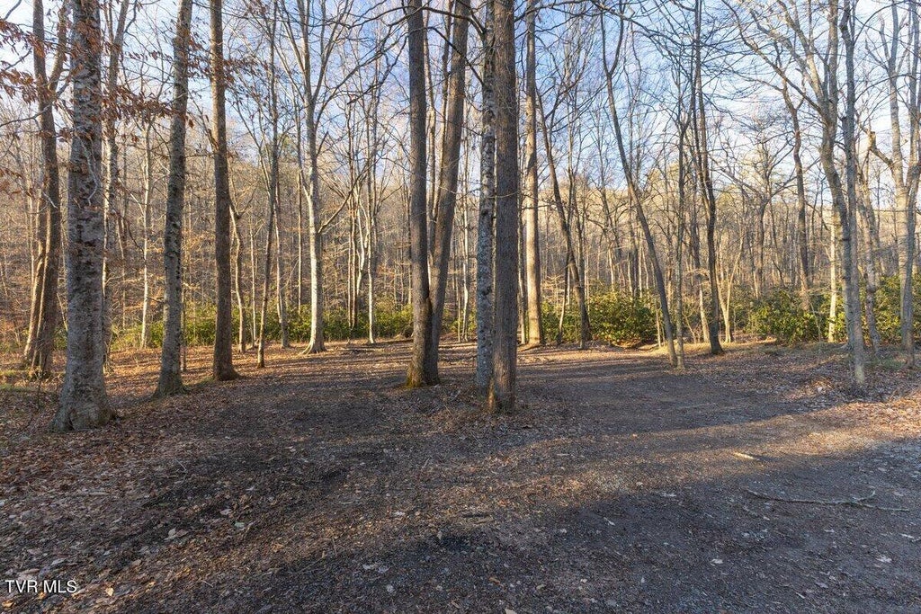 Photo of 0 Brair Fork Road, Bean Station, TN 37708 (MLS # 9990232)