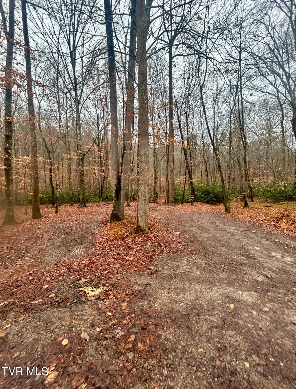 Photo of 0 Brair Fork Road, Bean Station, TN 37708 (MLS # 9990232)