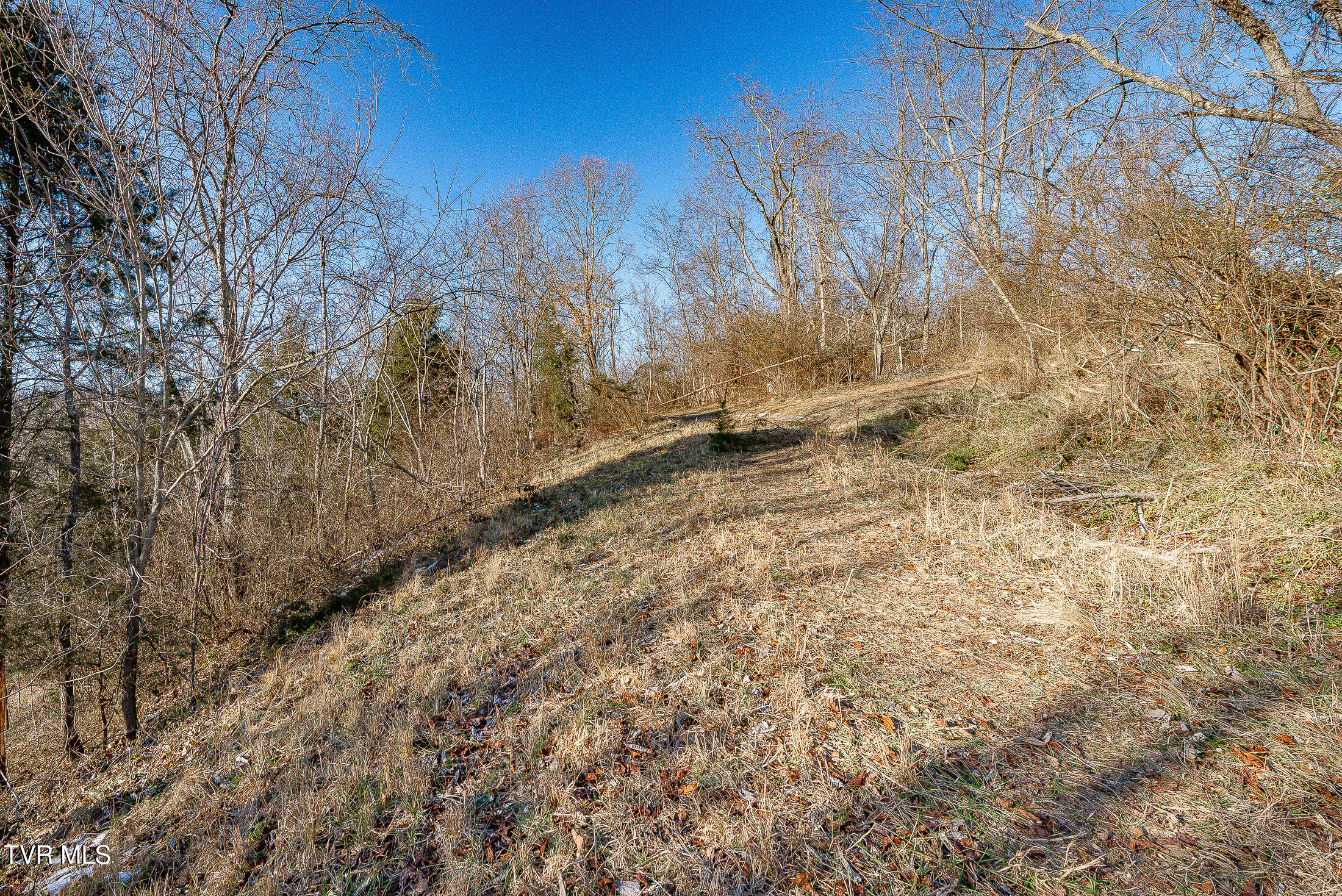 Stonegate Road, Kingsport, Tennessee image 14