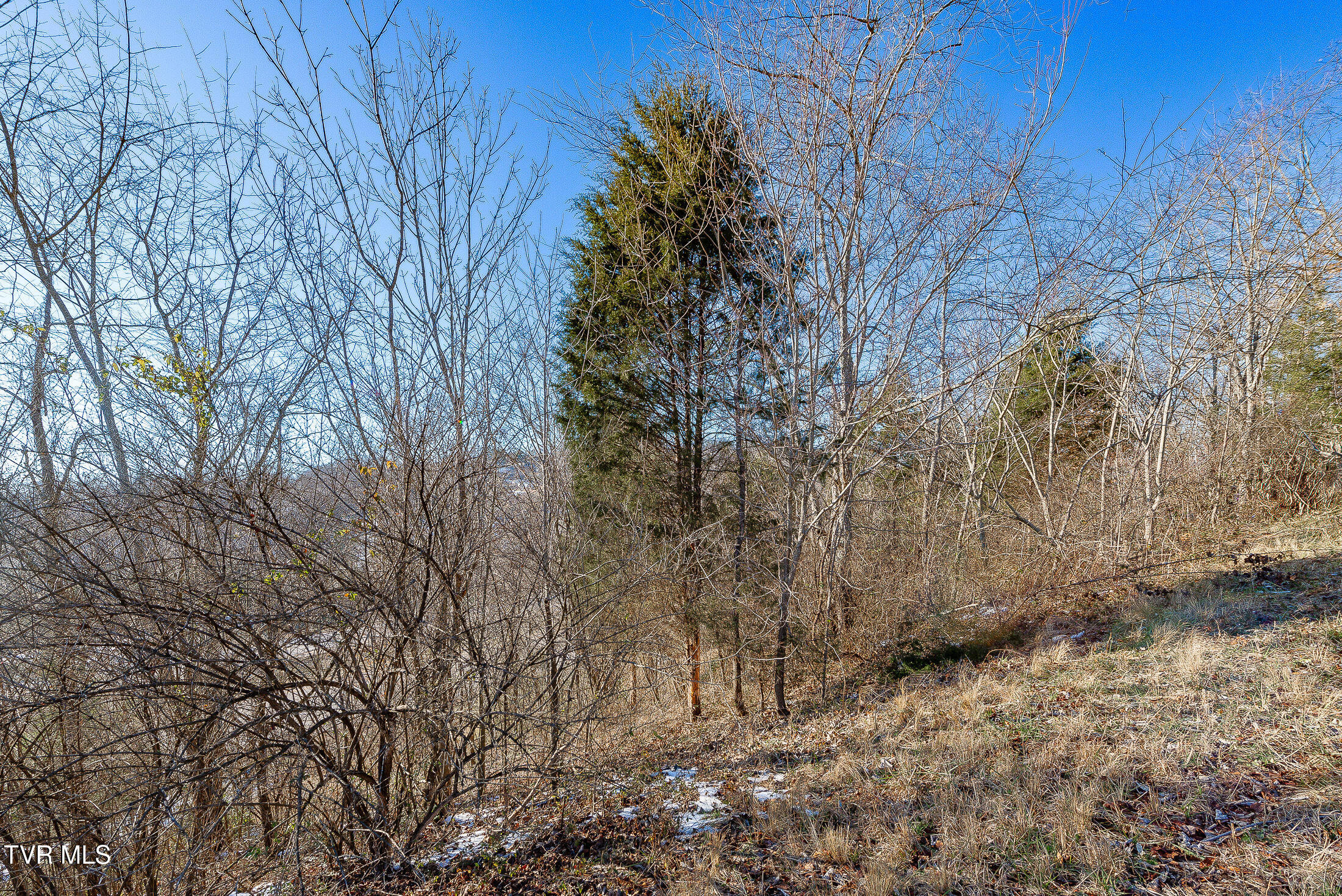 Stonegate Road, Kingsport, Tennessee image 15