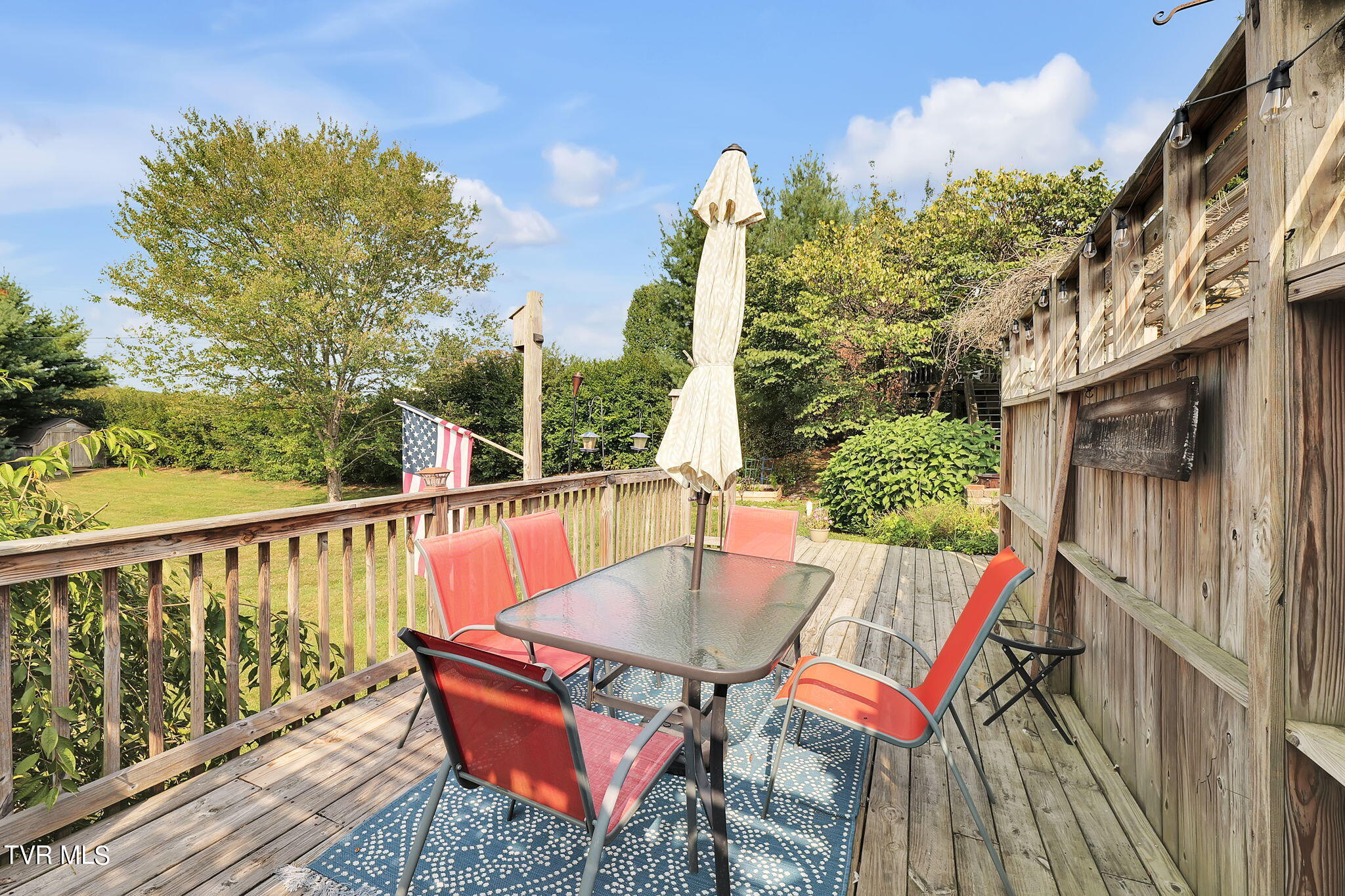 1103 Panorama Drive, Abingdon, Virginia image 35