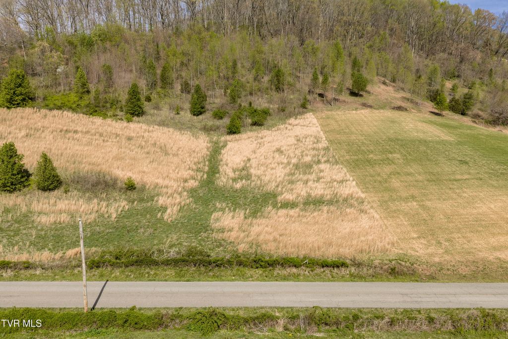 Photo of 2964 Rock Springs Road, Kingsport, TN 37664 (MLS # 9994500)