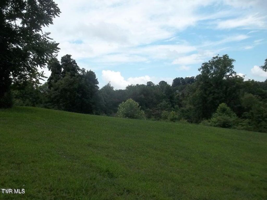 Photo of 1167 Cherry Blossom Lane, Talbott, TN 37877 (MLS # 9981962)