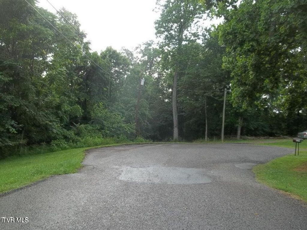 Photo of 1167 Cherry Blossom Lane, Talbott, TN 37877 (MLS # 9981962)