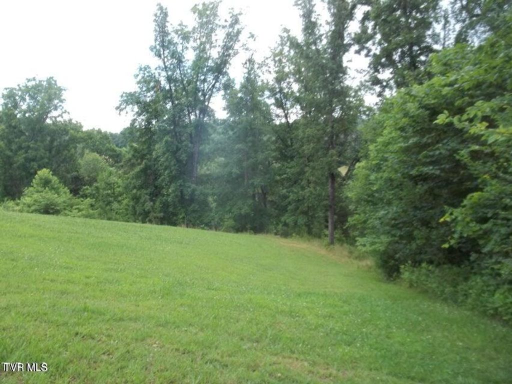 Photo of 1167 Cherry Blossom Lane, Talbott, TN 37877 (MLS # 9981962)