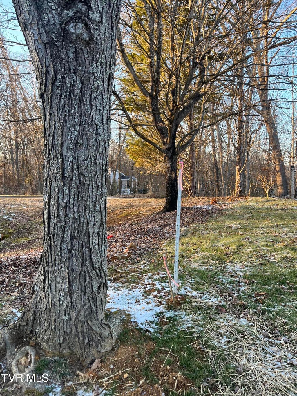 Photo of 101 Lexington Court, Greeneville, TN 37745 (MLS # 9990609)