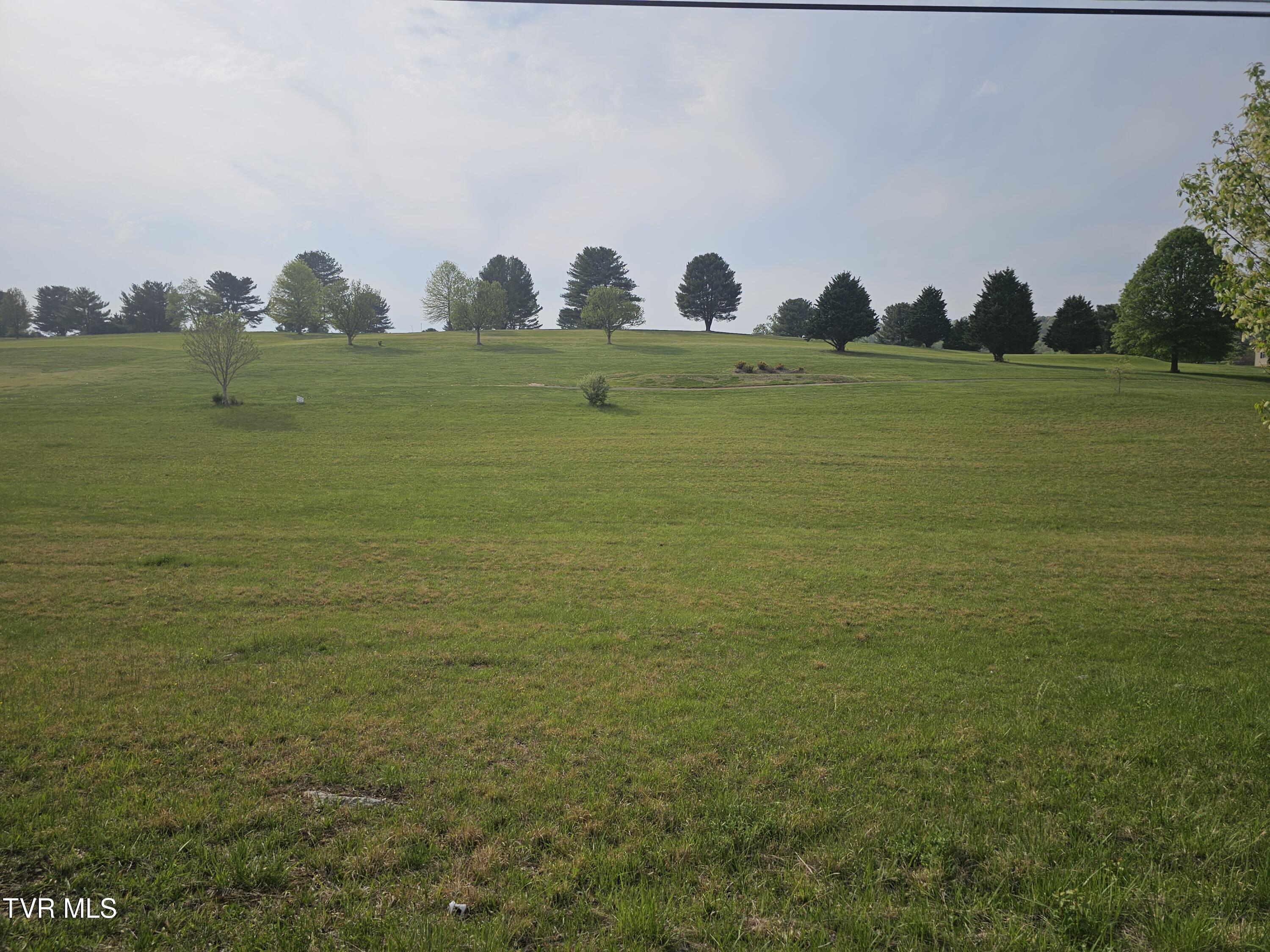 Tbd Mckinney Chapel Road, Rogersville, Tennessee image 1