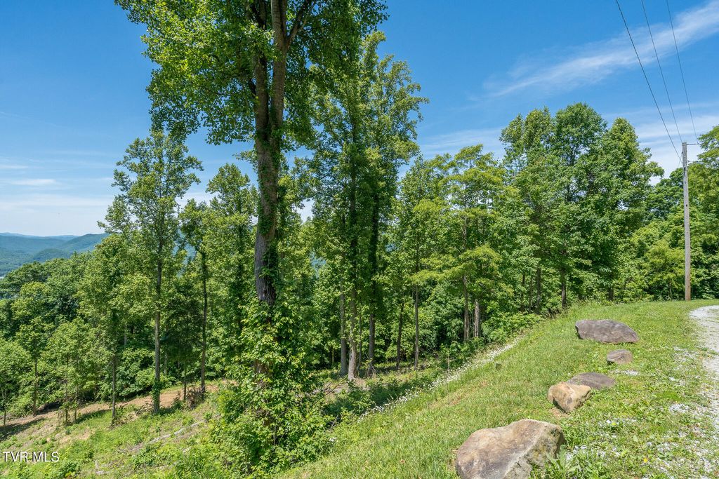 Photo of 4 Ridgetop Lane #4, Unicoi, TN 37692 (MLS # 9995449)