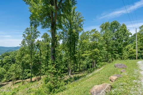Photo of 4 Ridgetop Lane #4, Unicoi, TN 37692 (MLS # 9995449)