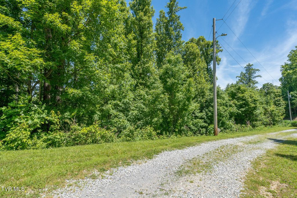 Photo of 4 Ridgetop Lane #4, Unicoi, TN 37692 (MLS # 9995449)