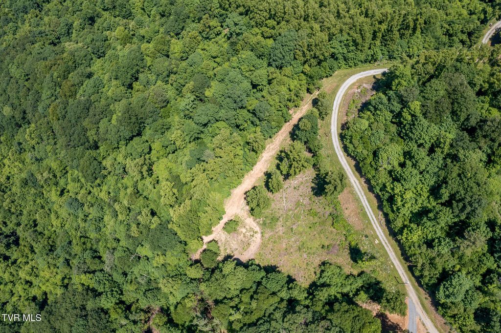 Photo of 4 Ridgetop Lane #4, Unicoi, TN 37692 (MLS # 9995449)