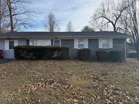 Photo of 4001 Englewood Boulevard, Johnson City, TN 37601 (MLS # 9989923)
