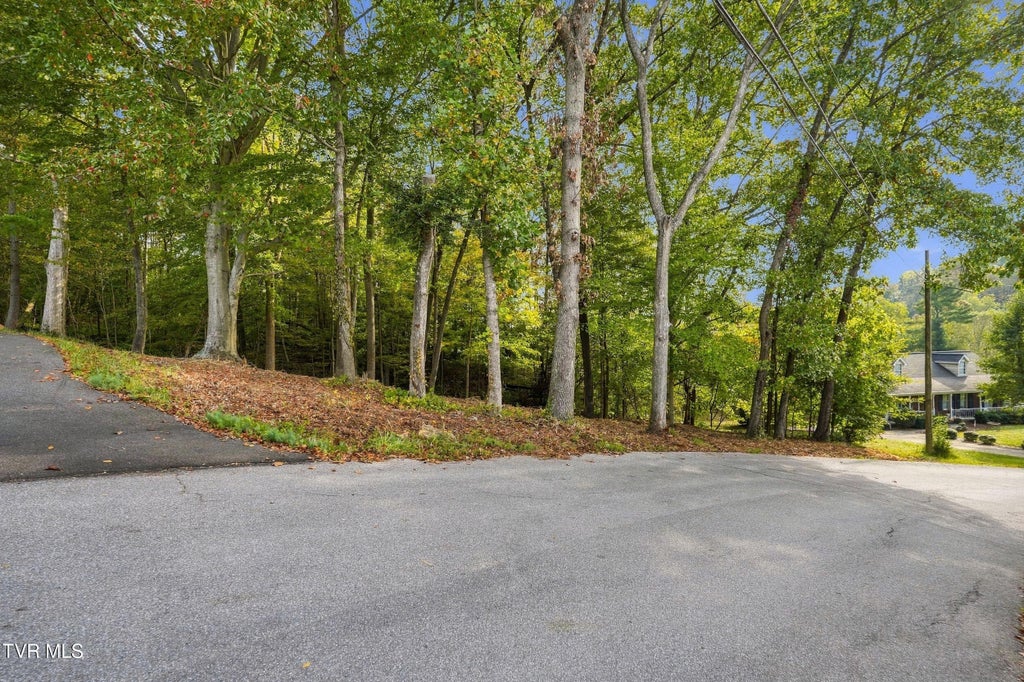 Photo of Tbd Edgewood Street, Church Hill, TN 37642 (MLS # 10002163)
