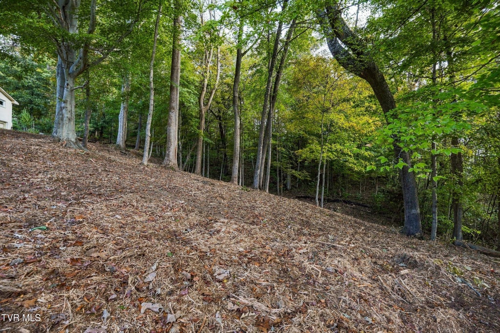 Photo of Tbd Edgewood Street, Church Hill, TN 37642 (MLS # 10002163)