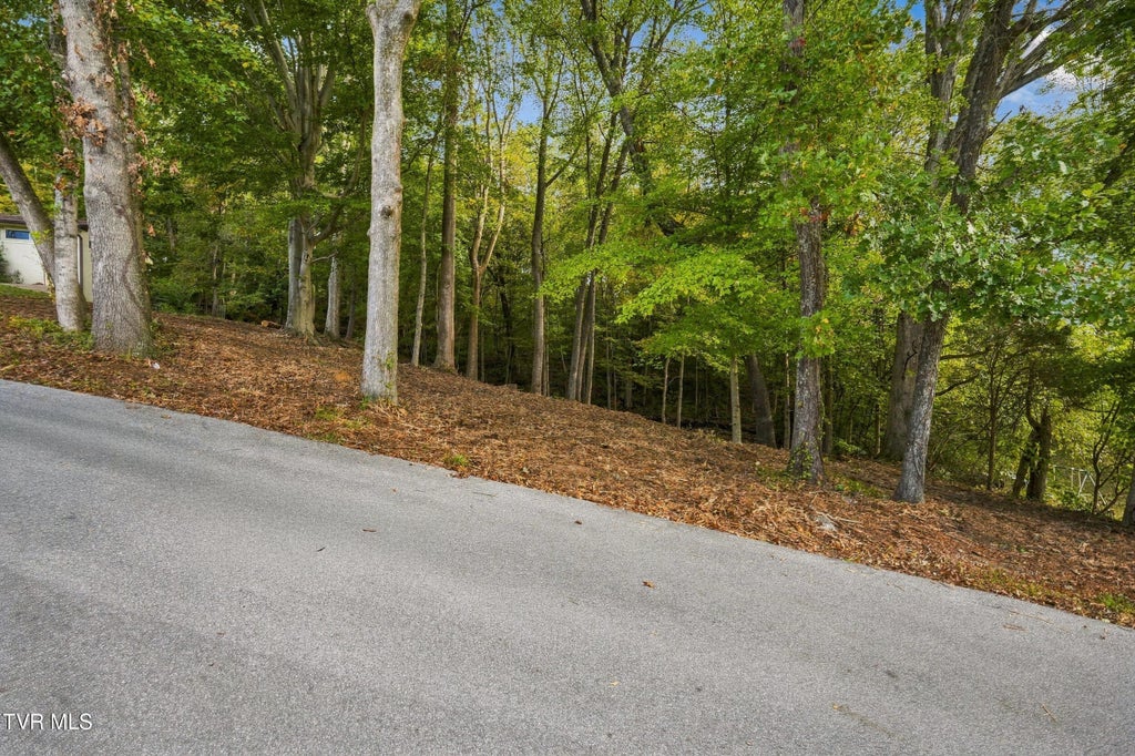 Photo of Tbd Edgewood Street, Church Hill, TN 37642 (MLS # 10002163)