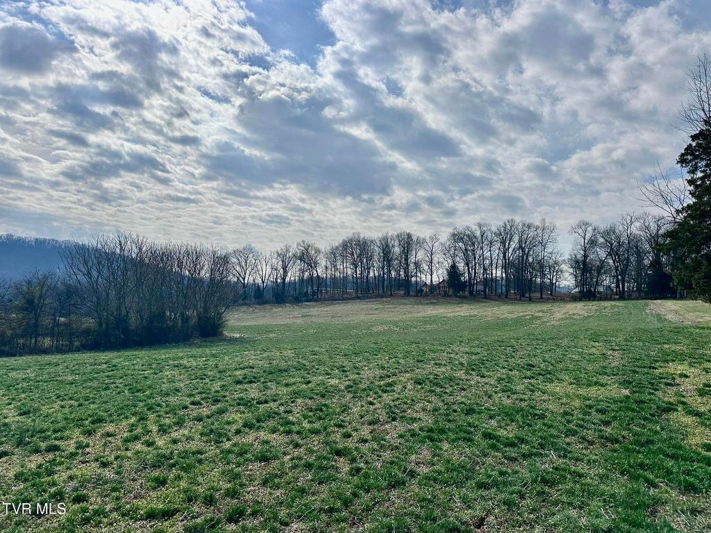 Photo of Lot 0 Mine Road, New Market, TN 37820 (MLS # 9991925)