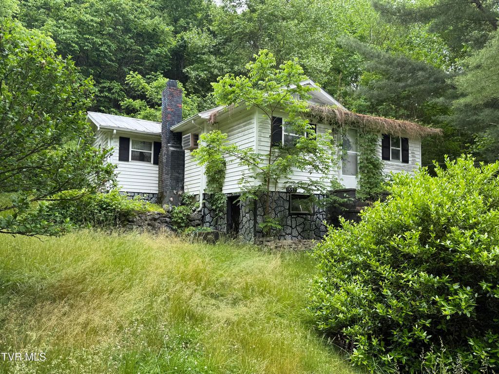 Photo of 1552 Sugar Pine Lane, Gate City, VA 24251 (MLS # 9995882)