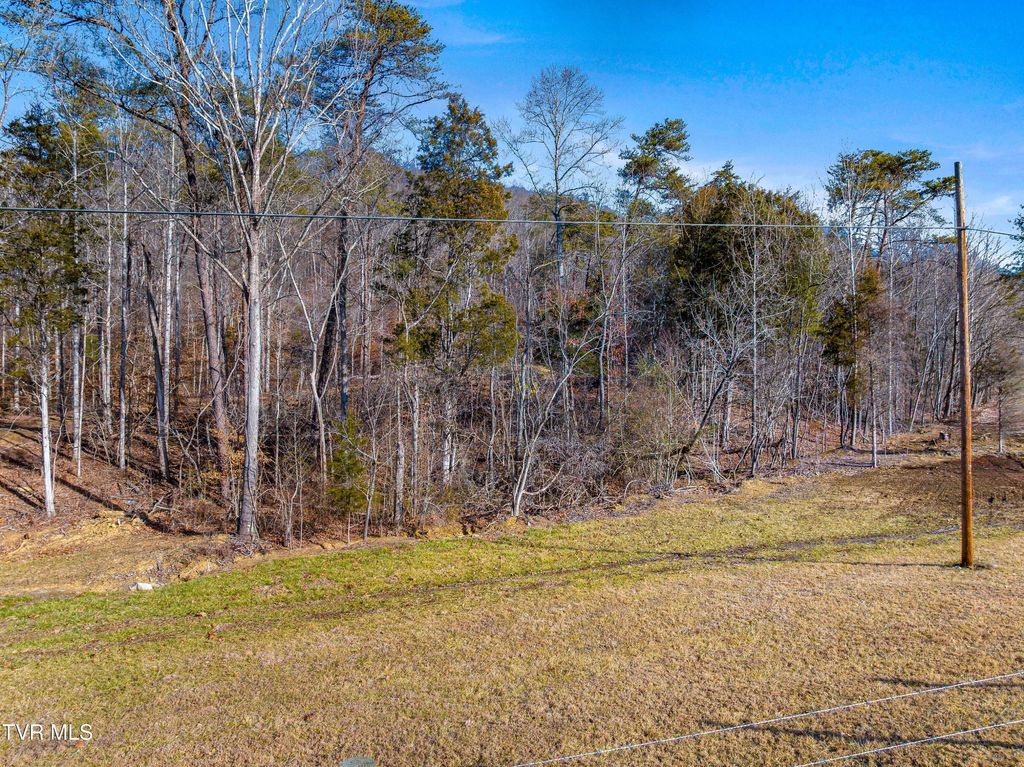 Photo of Tbd Butcher Valley Rd, Rogersville, TN 37857 (MLS # 9990499)