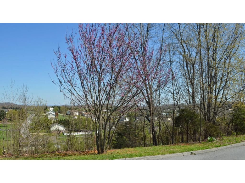 Photo of 214 Alfalfa Lane, Jonesborough, TN 37659 (MLS # 9936799)