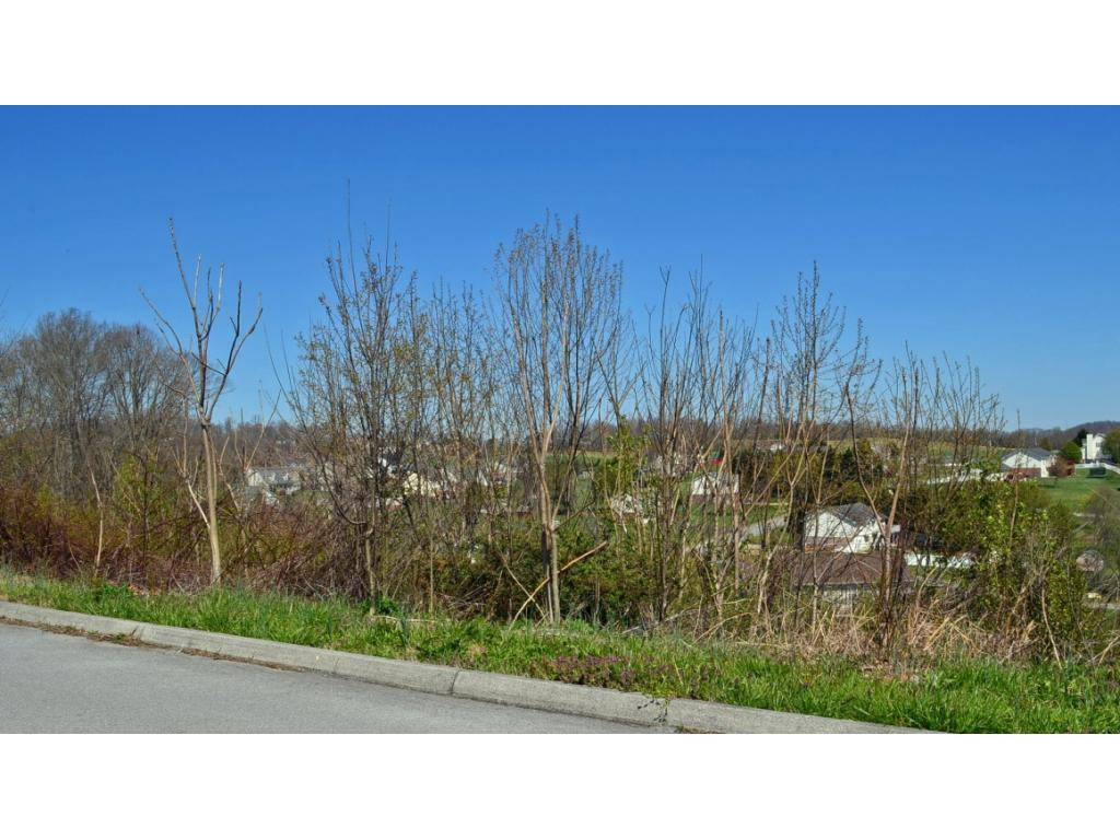 214 Alfalfa Lane, Jonesborough, Tennessee image 1