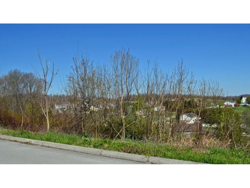 Photo of 214 Alfalfa Lane, Jonesborough, TN 37659 (MLS # 9936799)