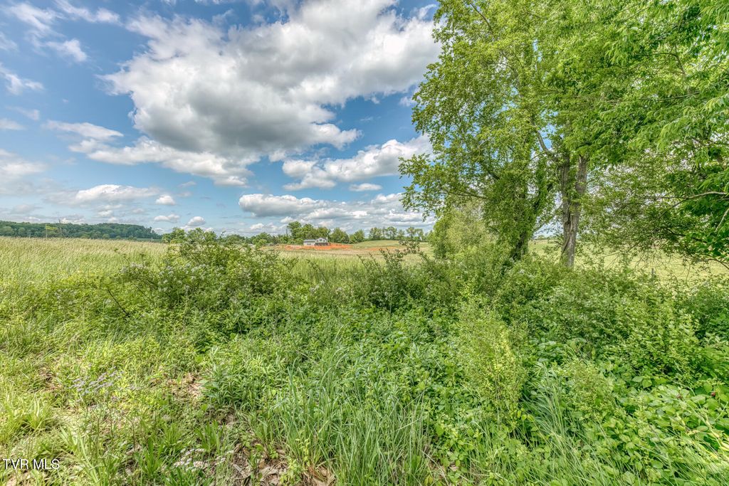Photo of 245 King Lane #Lot 1, Bristol, TN 37620 (MLS # 9995387)