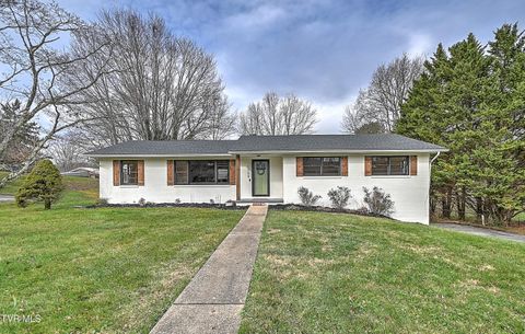 Photo of 1708 Jackson Terrace, Johnson City, TN 37604 (MLS # 9989192)