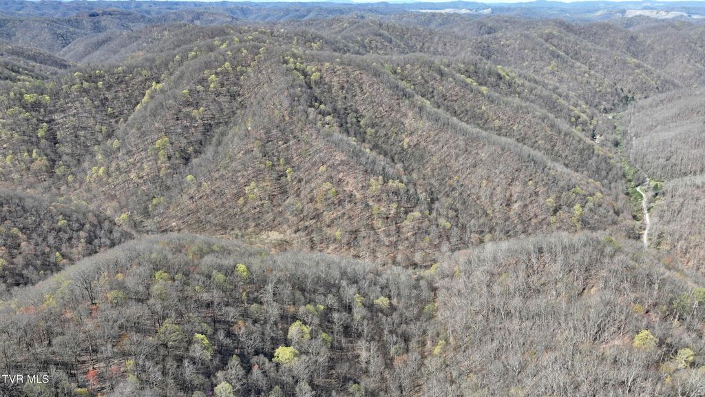 Photo of 0 Guesses Fork, Hurley, VA 24620 (MLS # 9978706)