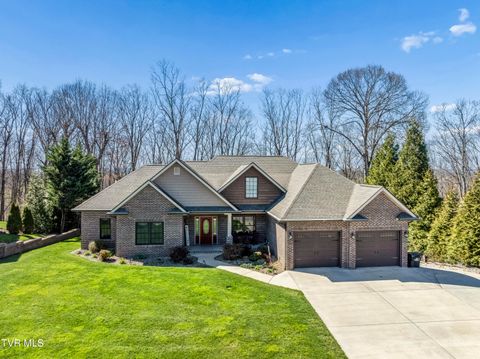 1148 Cliffview Circle Gray TN 37615