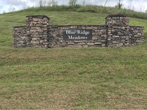Vacant Land For Sale - 00 Katie Lane<br/> Chuckey, TN 37641