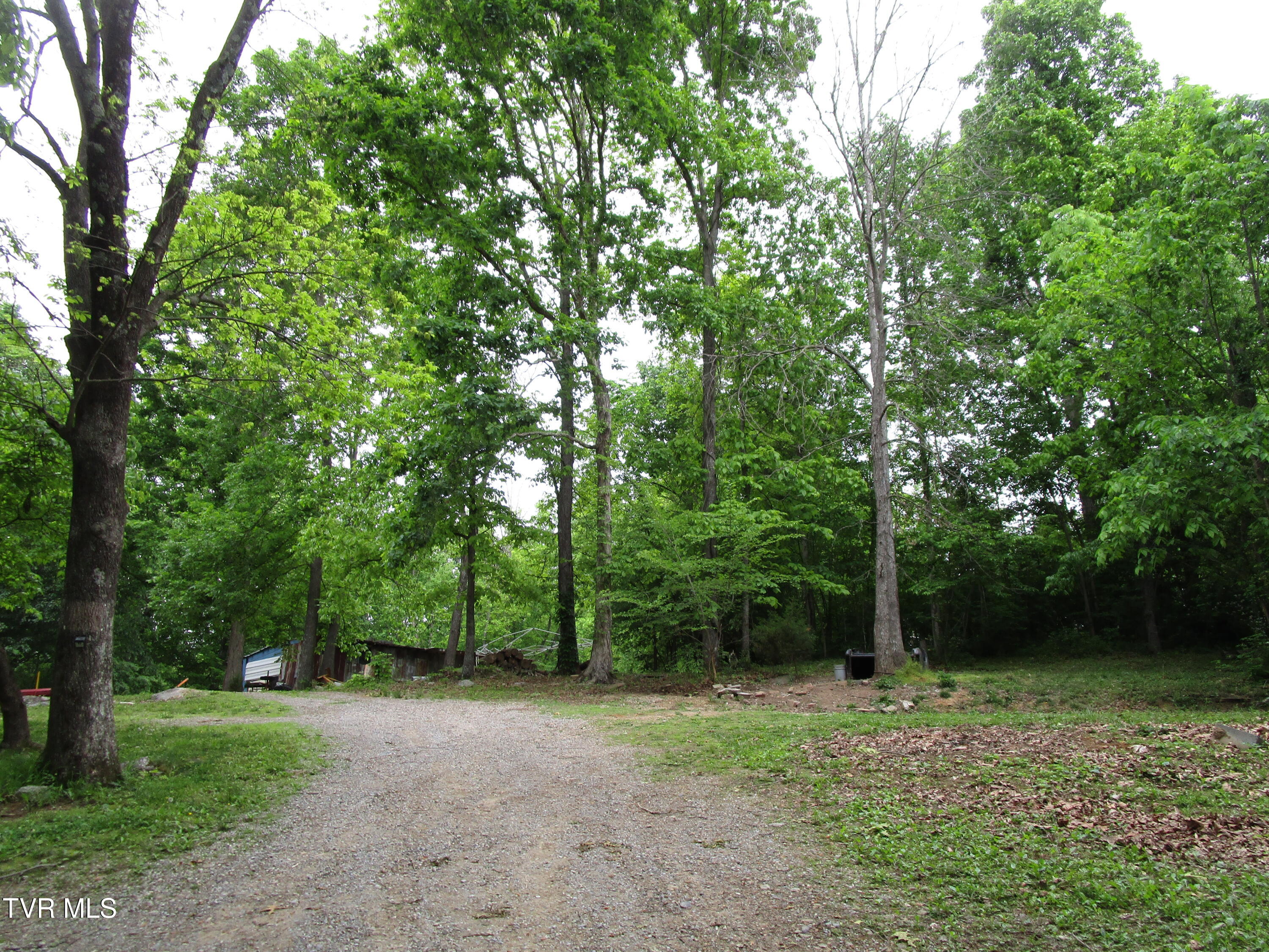 110 Green Lane, Limestone, Tennessee image 3