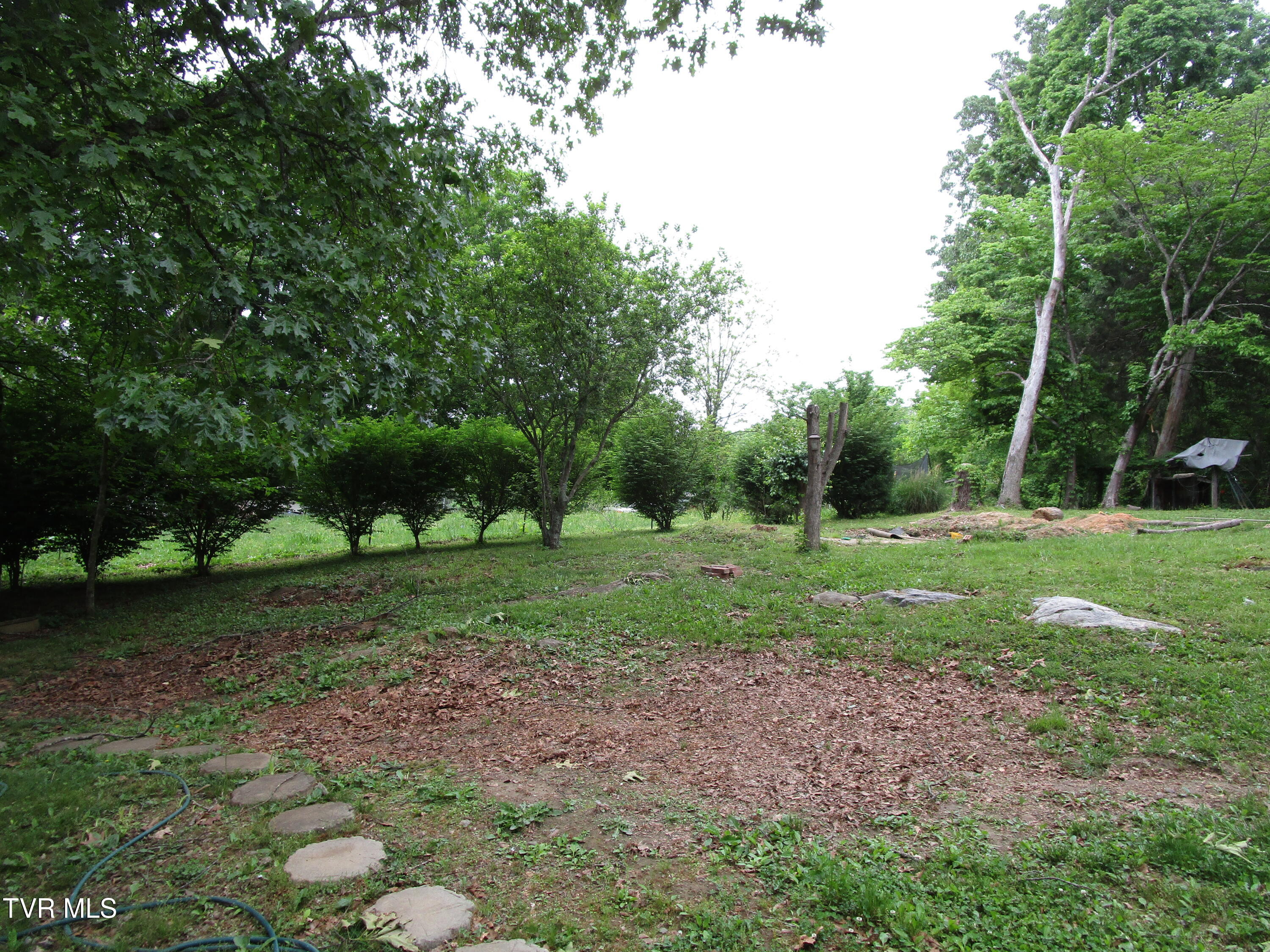 110 Green Lane, Limestone, Tennessee image 2