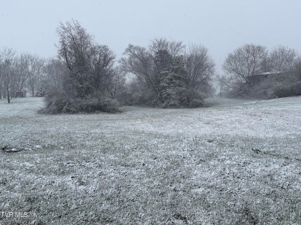 Photo of 11 Jimmy Johnston Road #11, Greeneville, TN 37743 (MLS # 9992455)