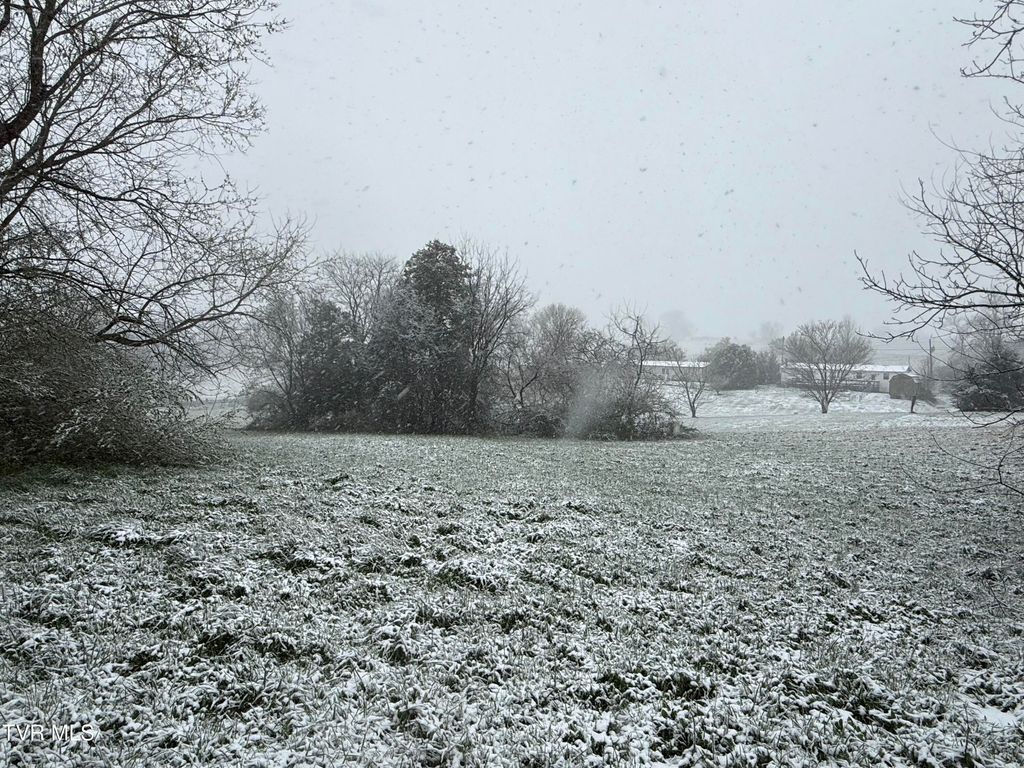 Photo of 11 Jimmy Johnston Road #11, Greeneville, TN 37743 (MLS # 9992455)