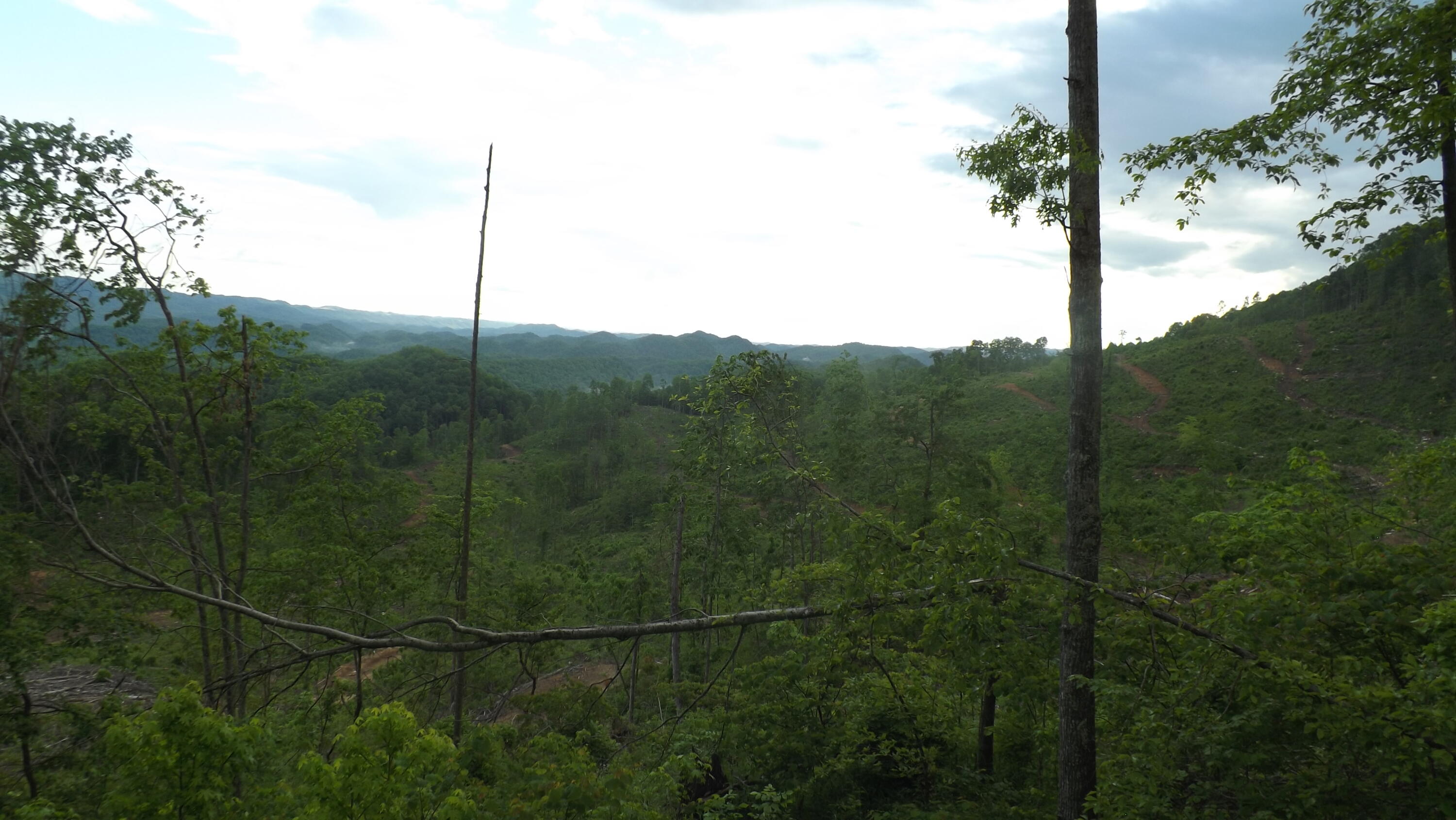 Osborne Ridge Road, Dungannon, Virginia image 22