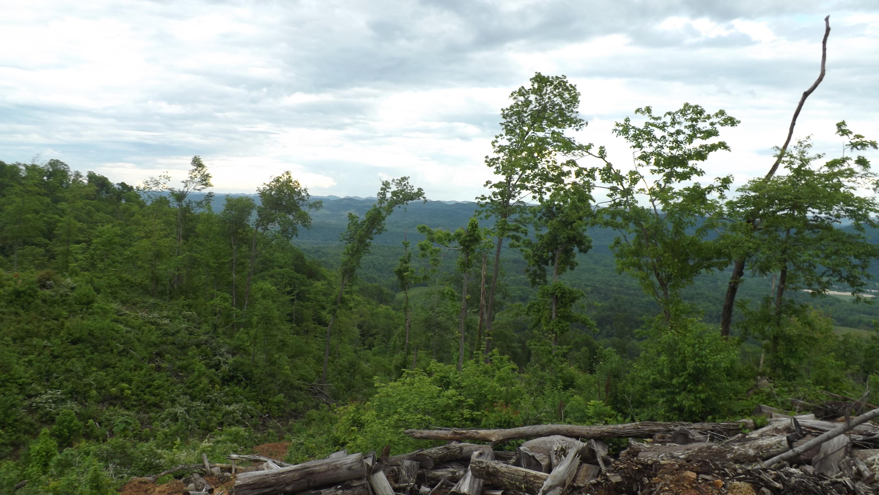 Osborne Ridge Road, Dungannon, Virginia image 8