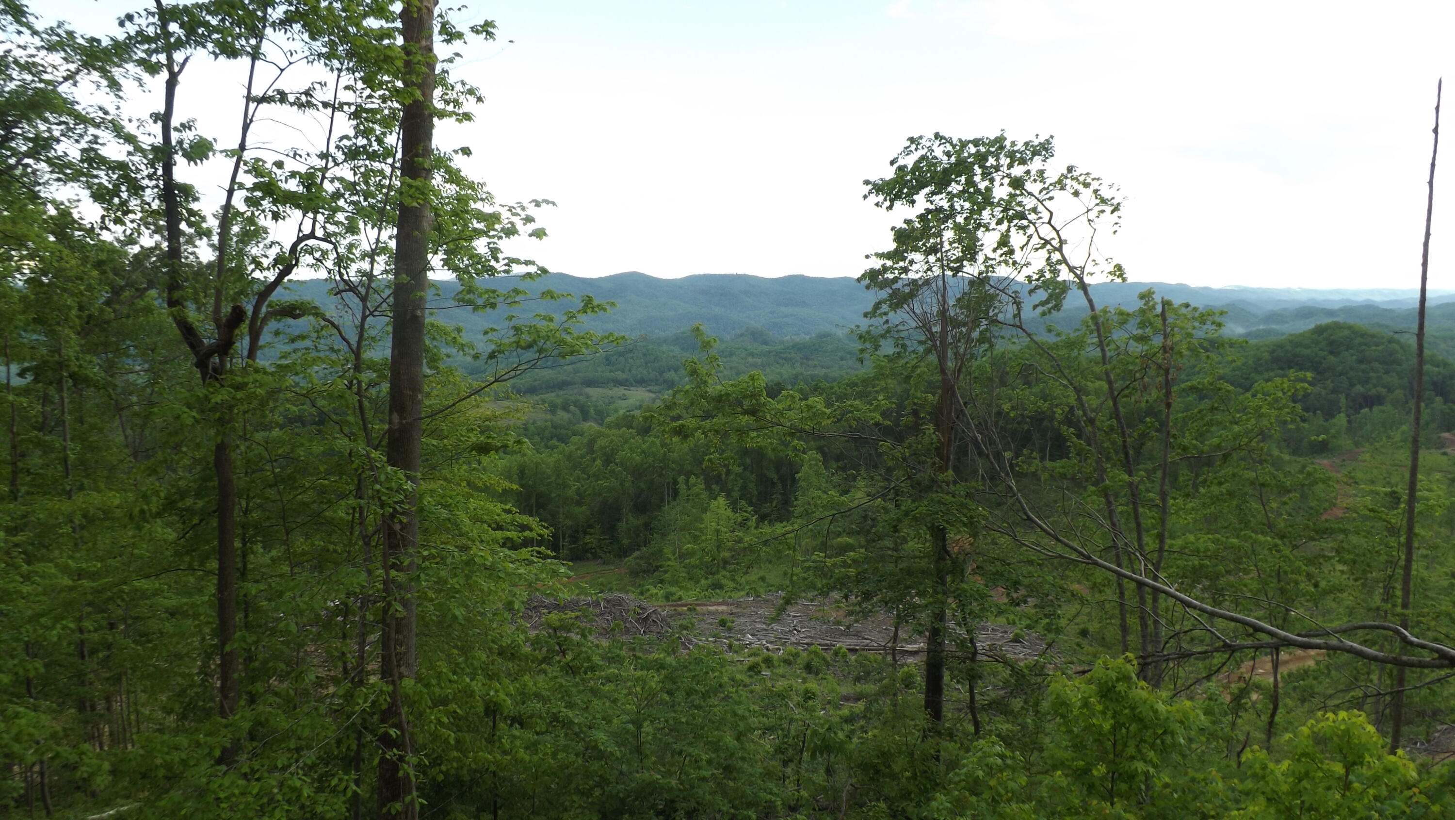 Osborne Ridge Road, Dungannon, Virginia image 21
