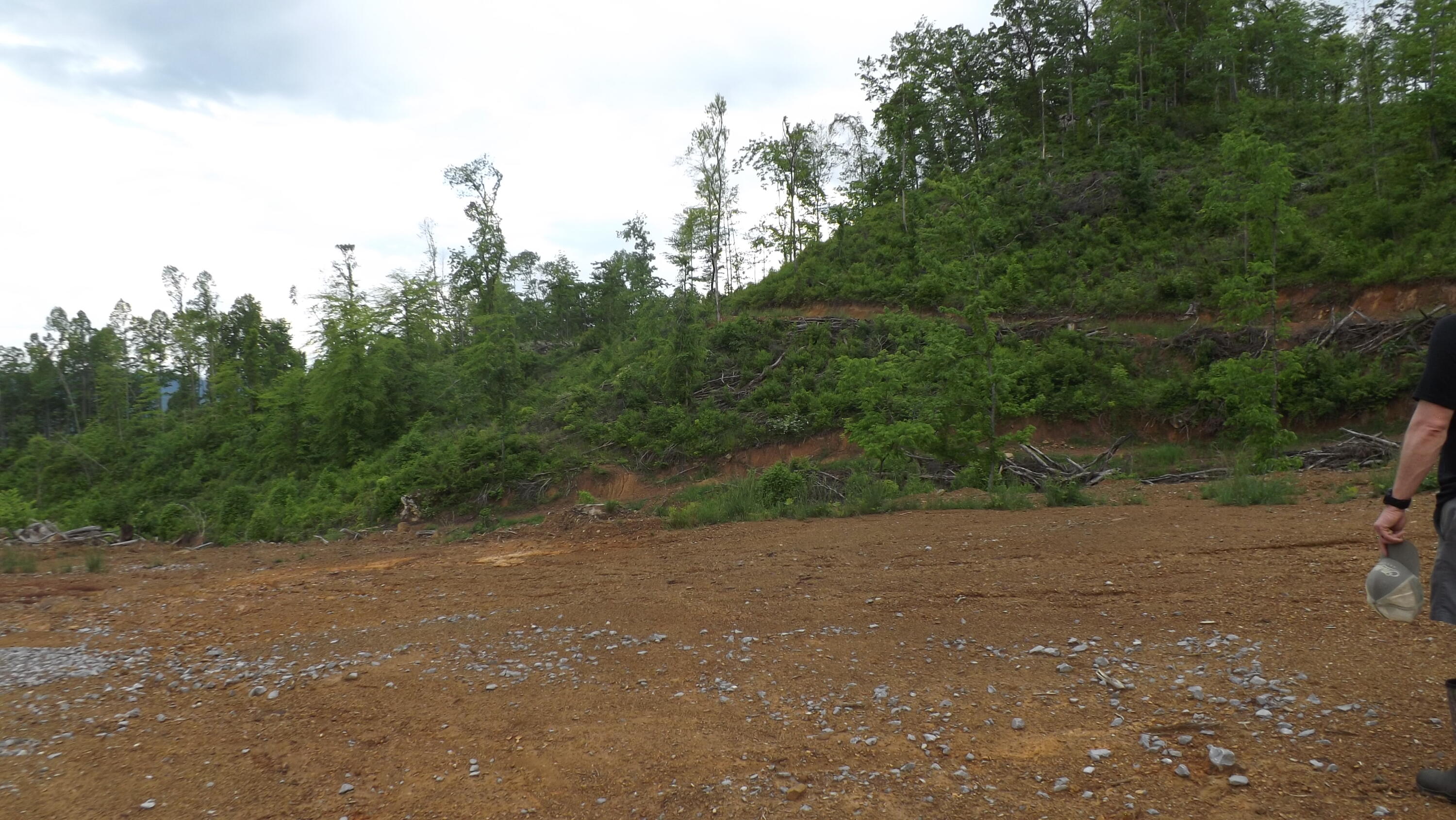 Osborne Ridge Road, Dungannon, Virginia image 7