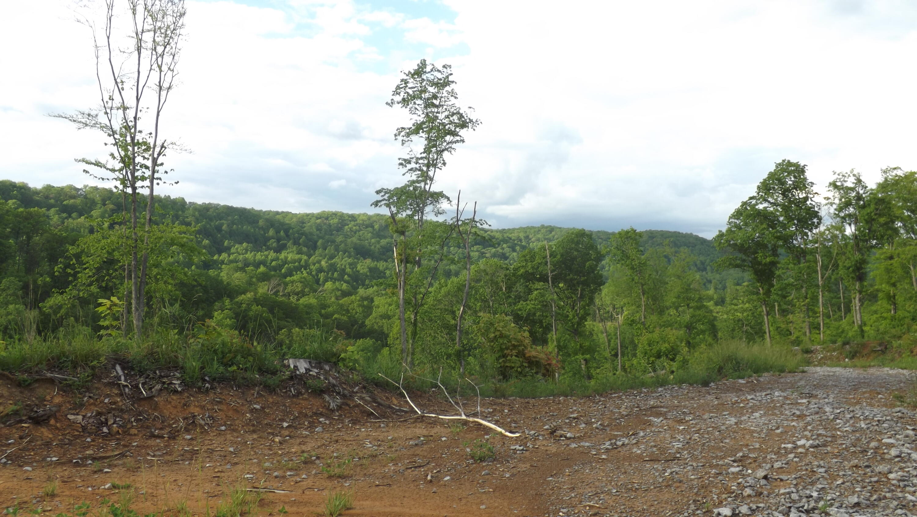 Osborne Ridge Road, Dungannon, Virginia image 16