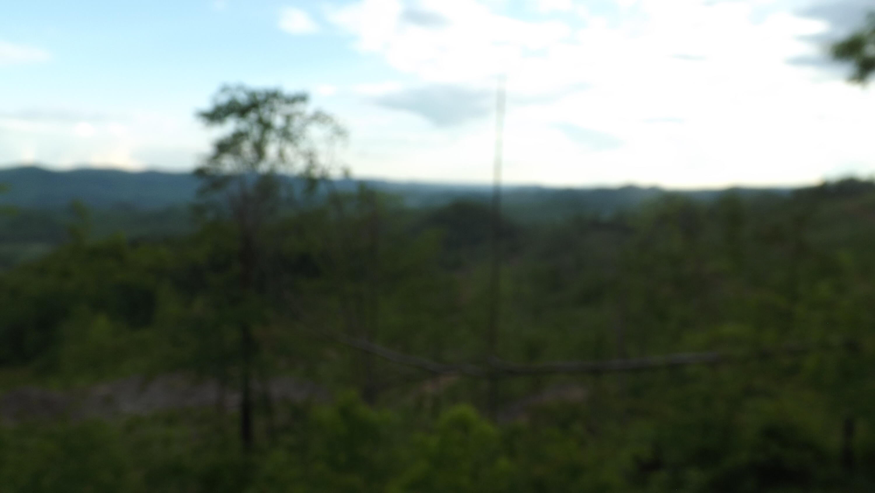 Osborne Ridge Road, Dungannon, Virginia image 20