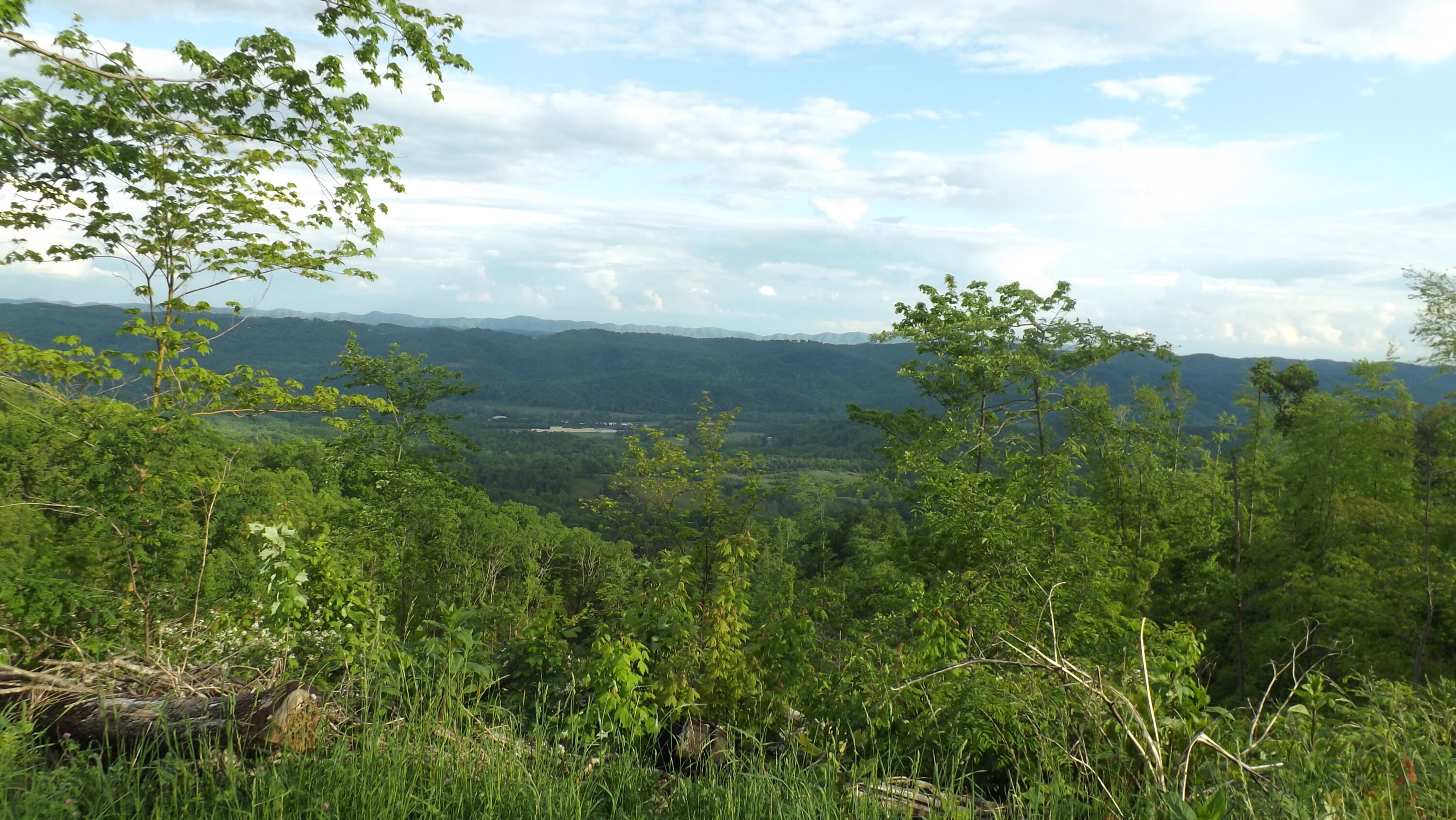 Osborne Ridge Road, Dungannon, Virginia image 1