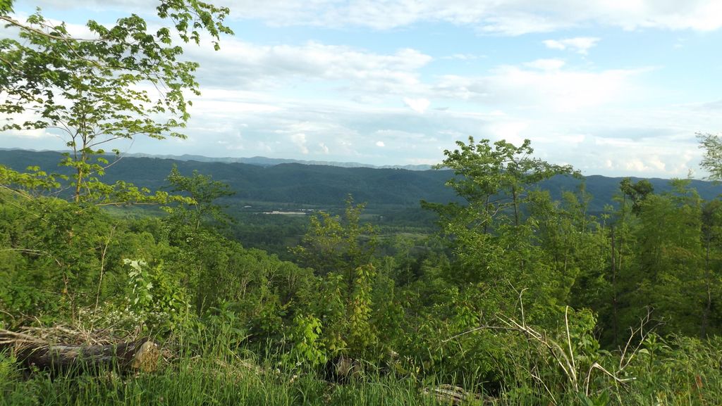 Photo of 0 Osborne Ridge Road, Dungannon, VA 24245 (MLS # 9937907)