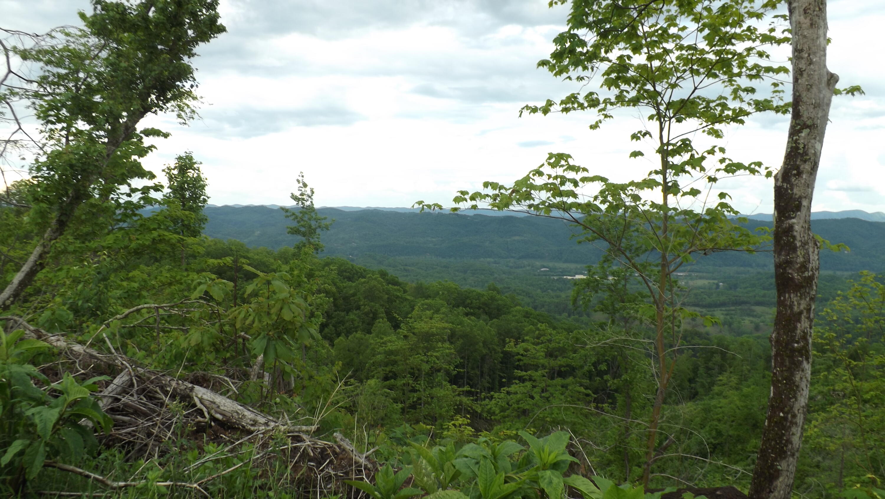 Osborne Ridge Road, Dungannon, Virginia image 4