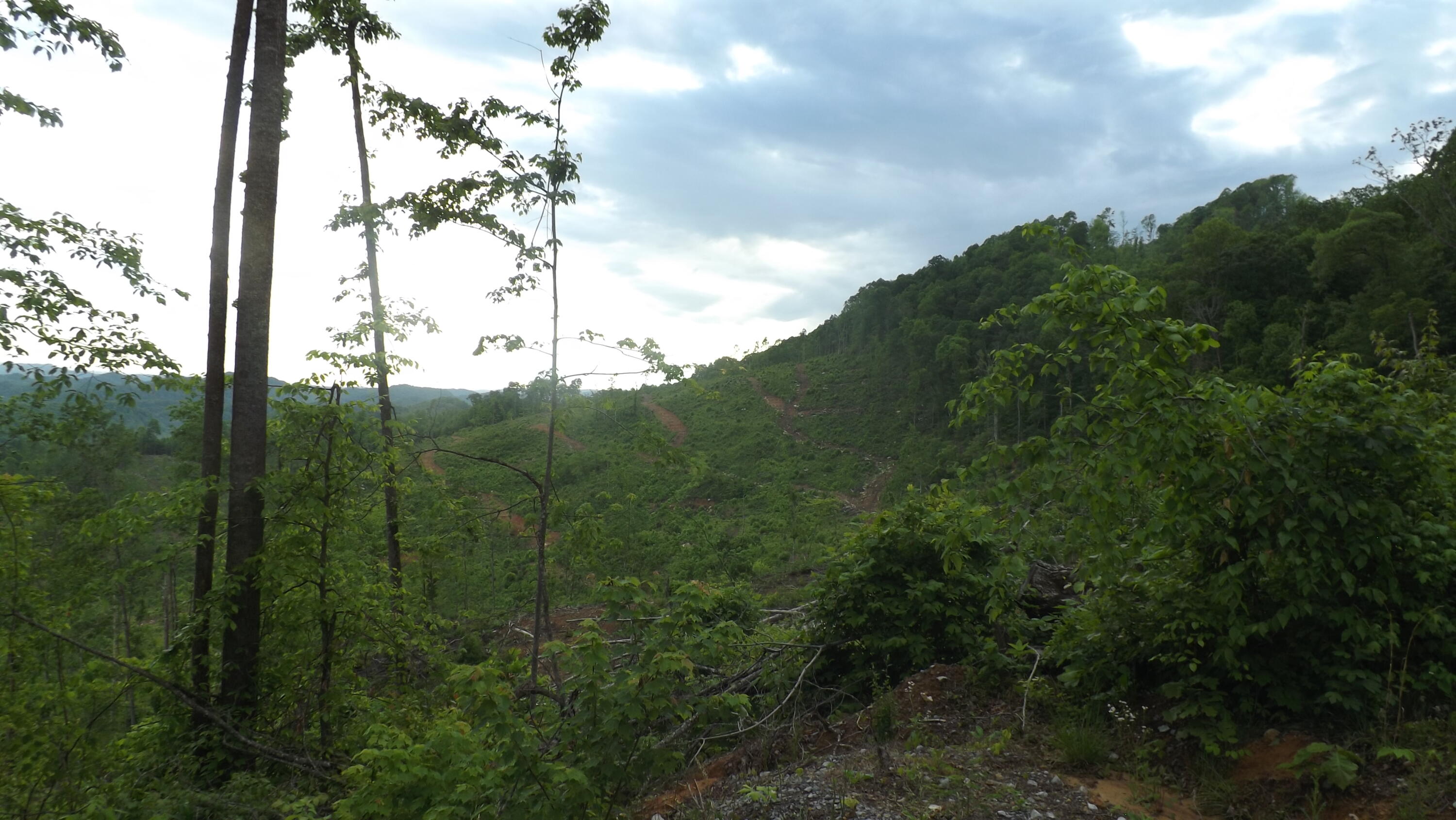 Osborne Ridge Road, Dungannon, Virginia image 19