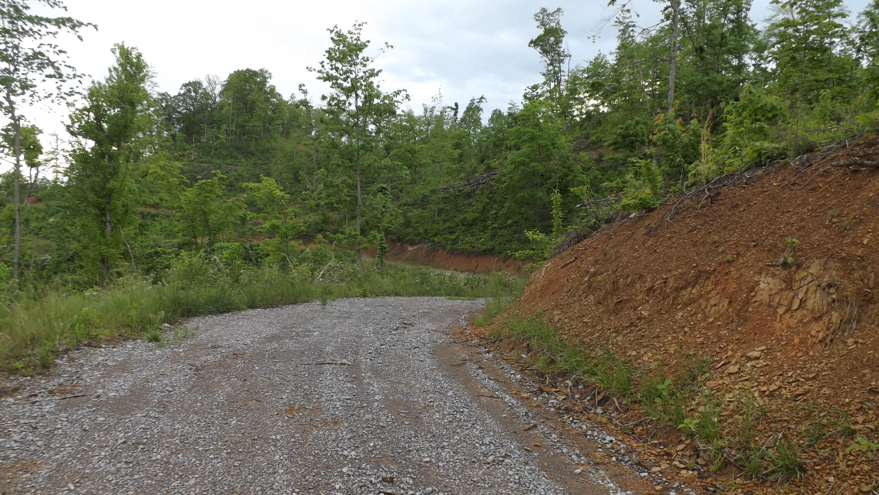 Osborne Ridge Road, Dungannon, Virginia image 6