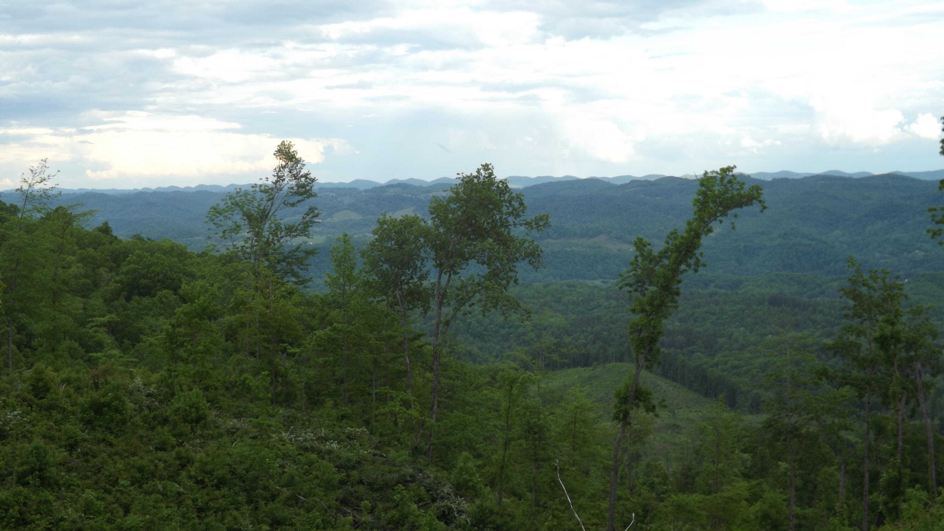 Osborne Ridge Road, Dungannon, Virginia image 2