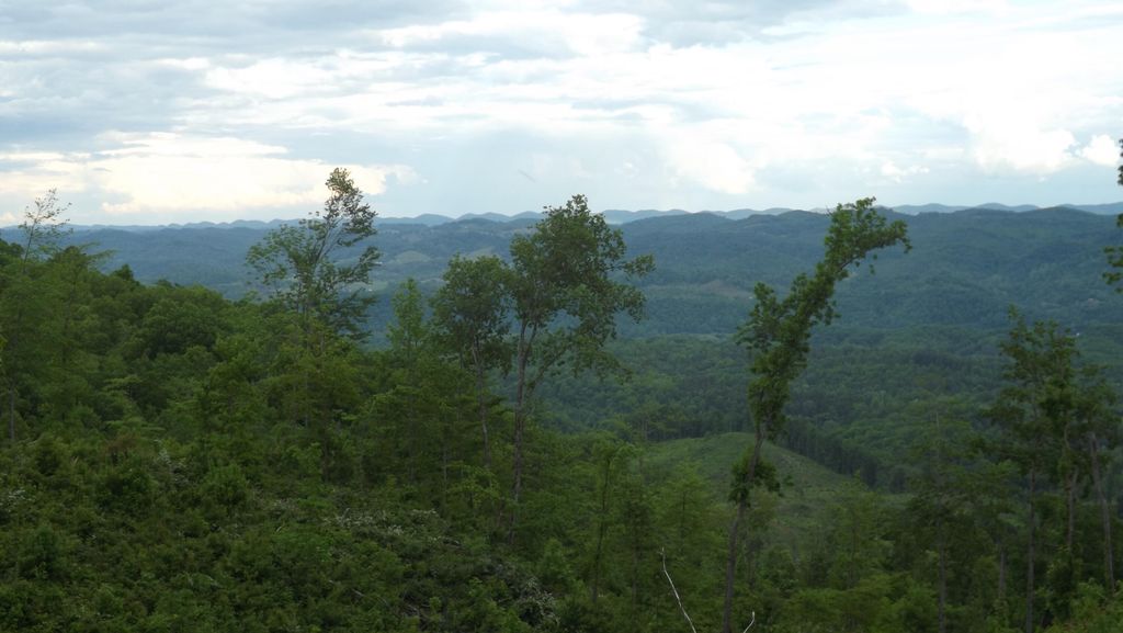 Photo of 0 Osborne Ridge Road, Dungannon, VA 24245 (MLS # 9937907)