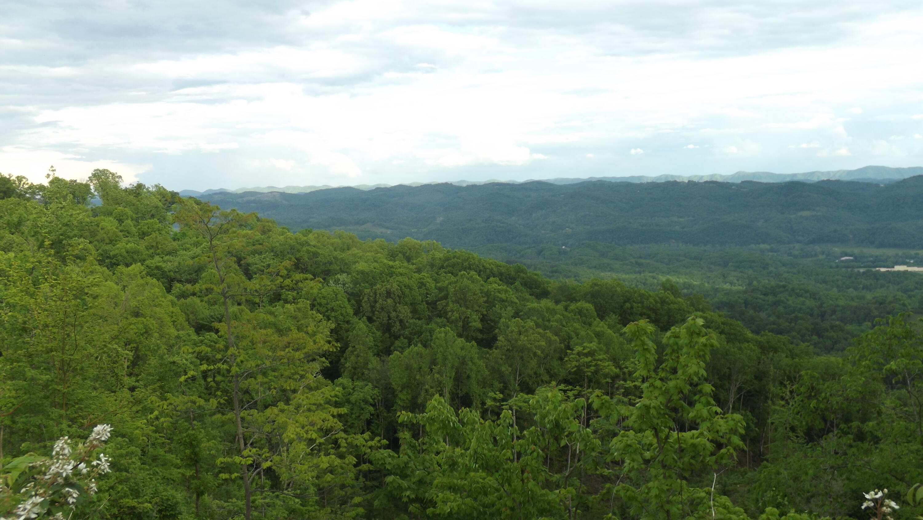 Osborne Ridge Road, Dungannon, Virginia image 15